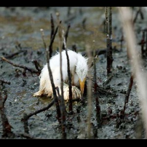 Economics and the Nature of Political Crises