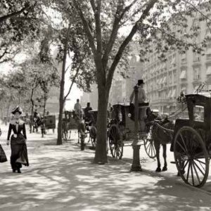 Fractal Adaptive Cycles in Natural and Human Systems