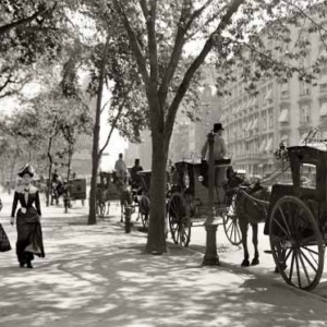 Fractal Adaptive Cycles in Natural and Human Systems