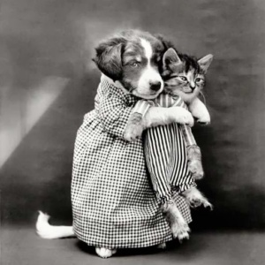 Sometimes Humor Is The Best Way To Tell A Tragic Story