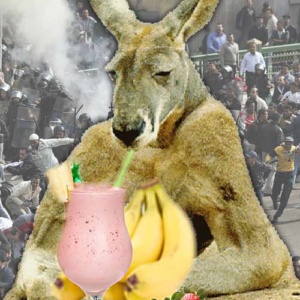 Kangaroos, Bananas and the Rule of Law